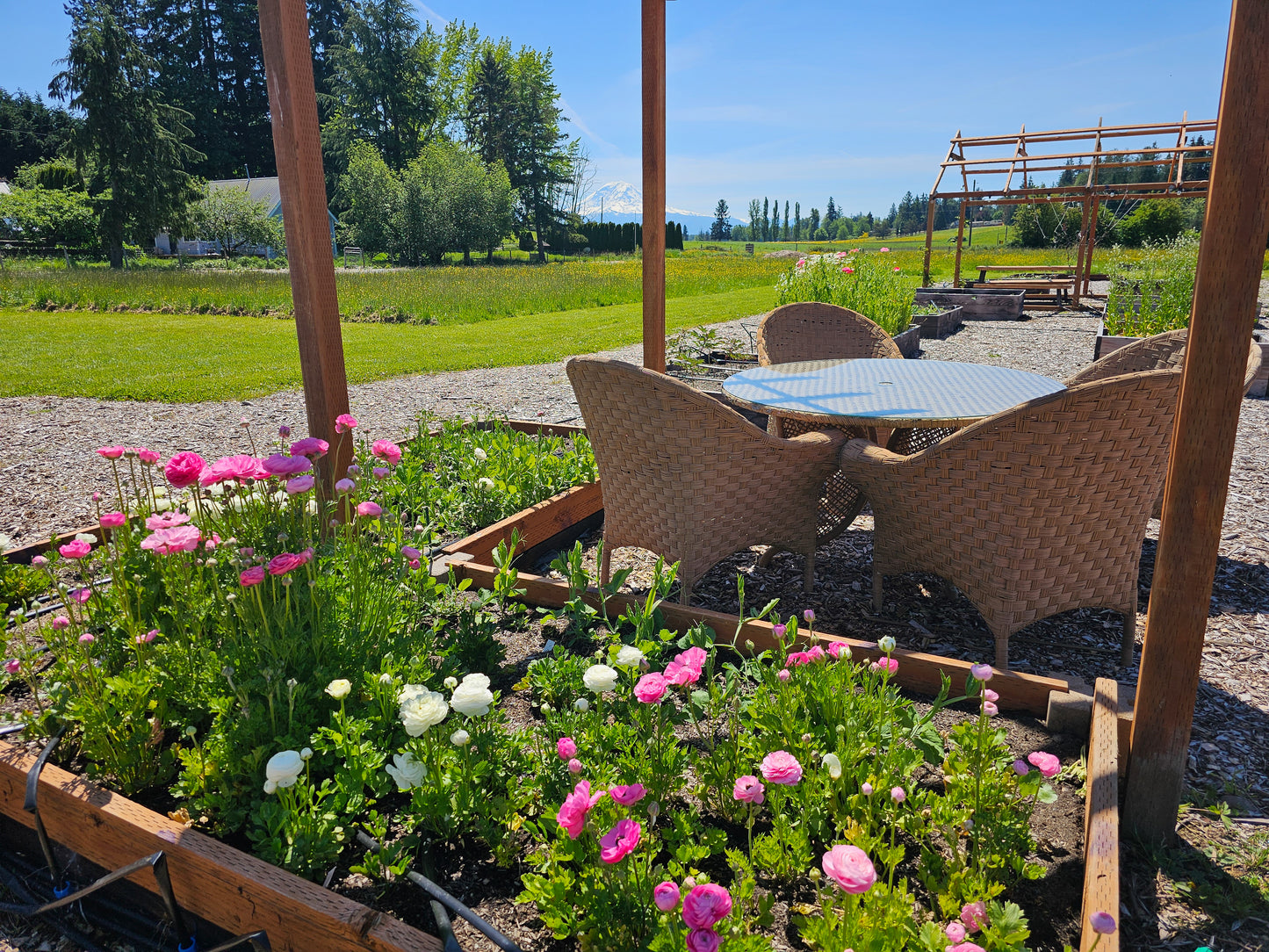 Photoshoot on the Farm
