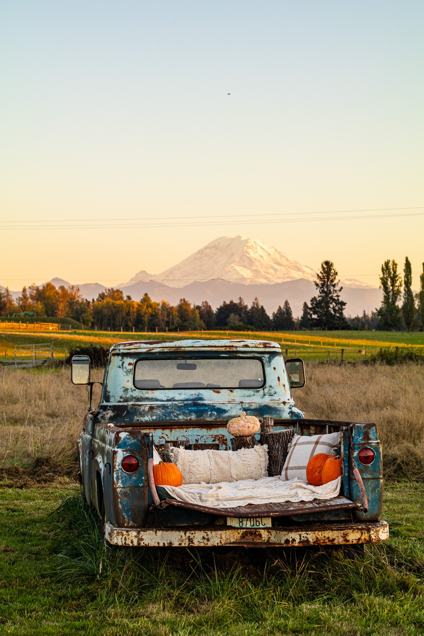 Photoshoot on the Farm