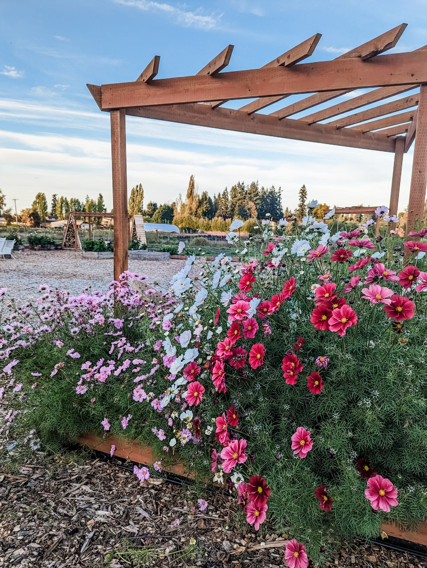 Photoshoot on the Farm