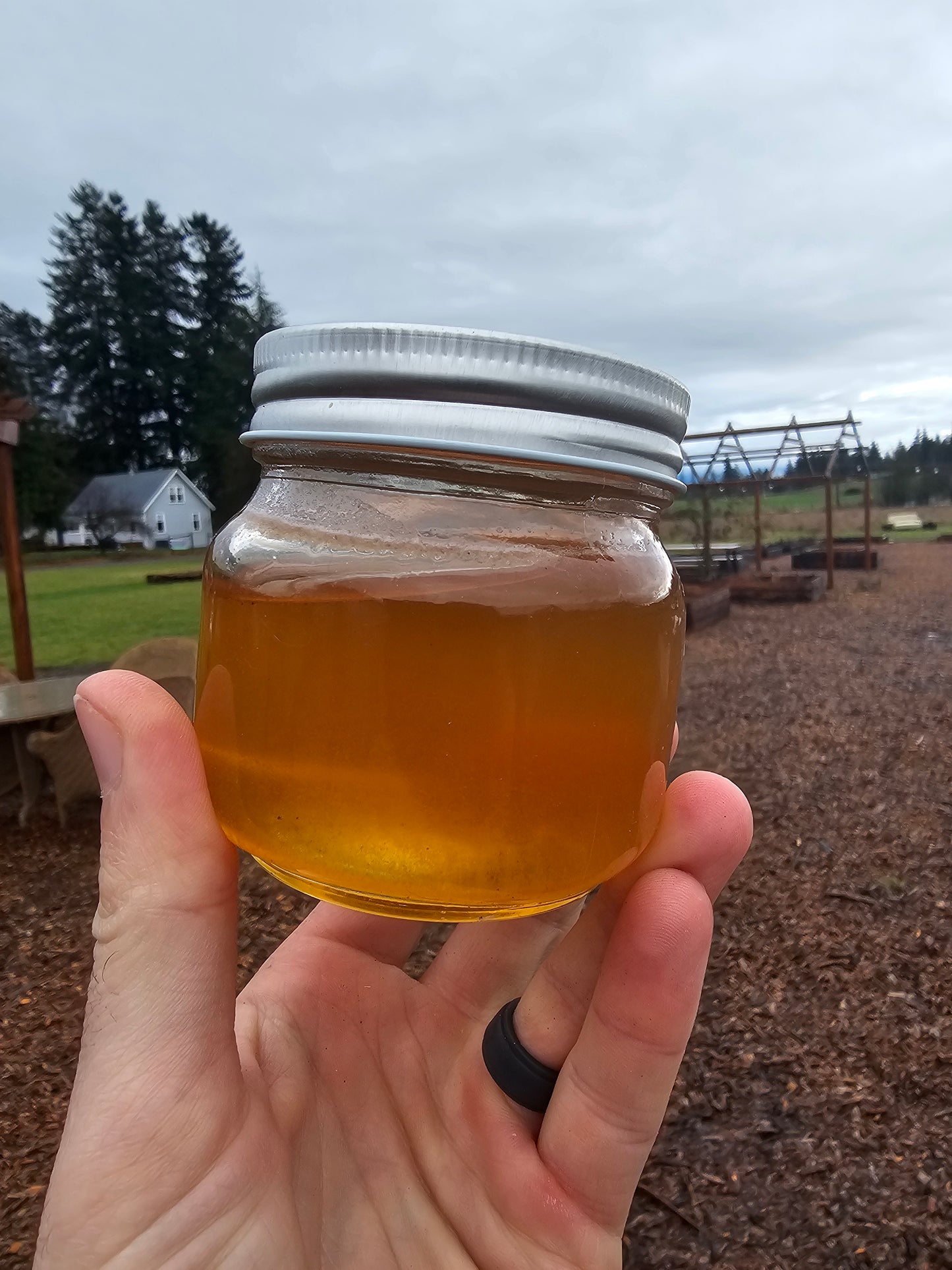 Local Raw Honey 10oz